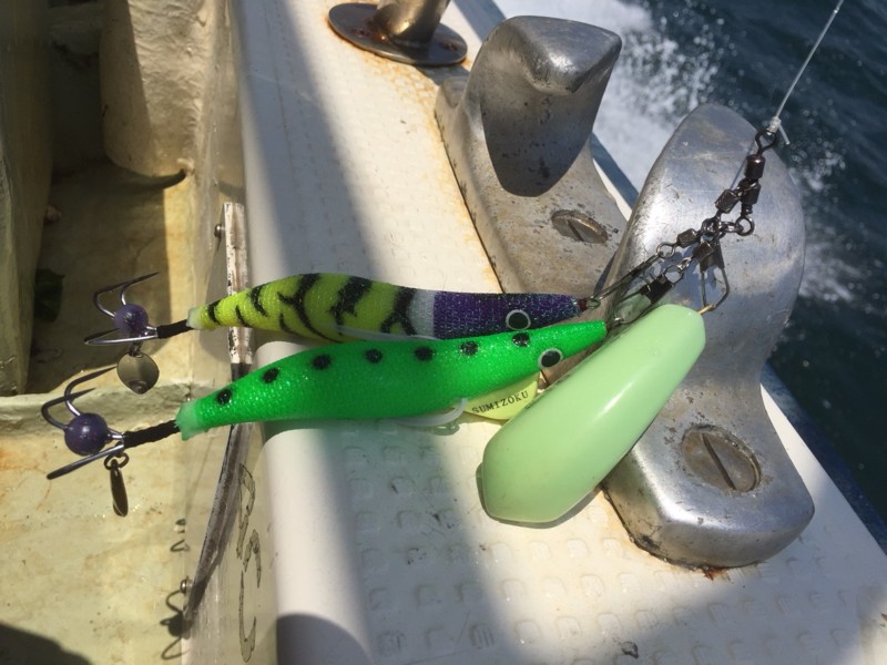 明石 船タコ開幕!!