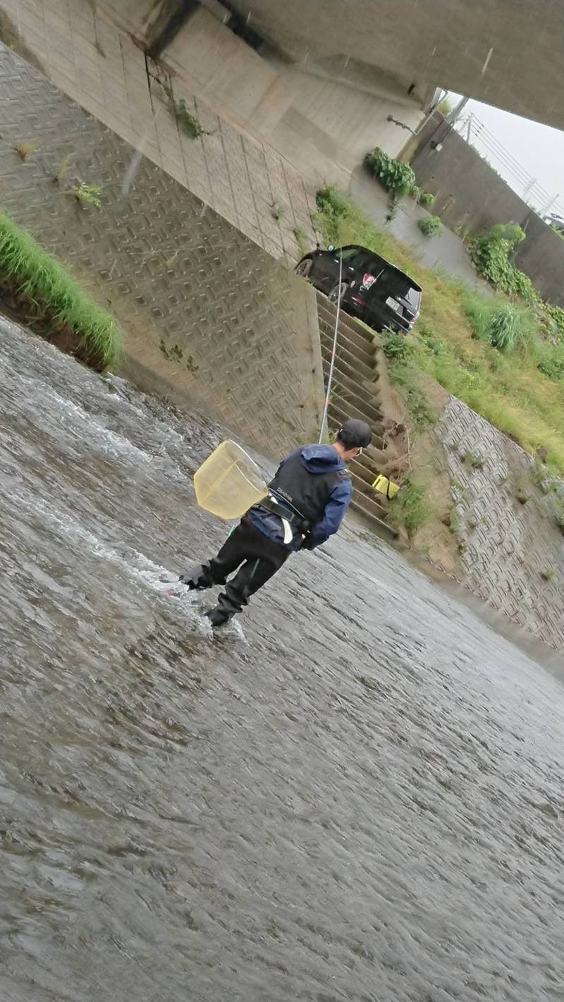 南川鮎釣り釣行