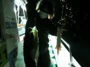 今シーズン初 イカメタル釣行!!