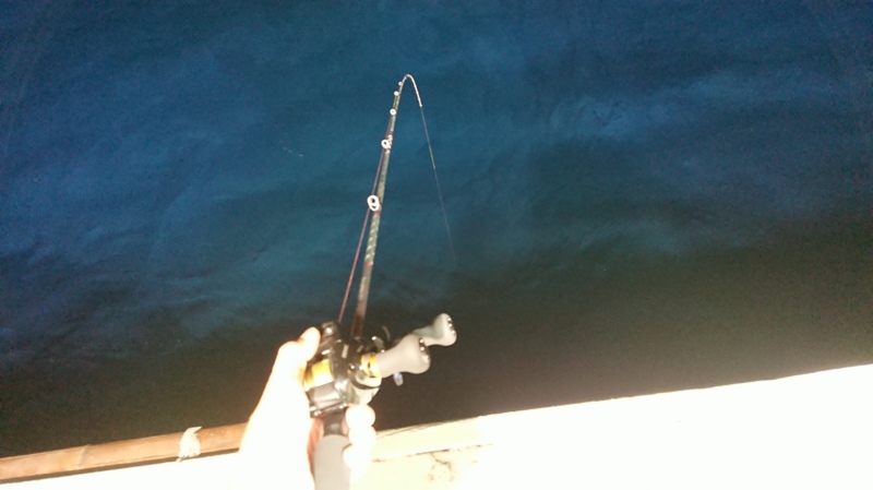 鳥取イカメタル絶好調!