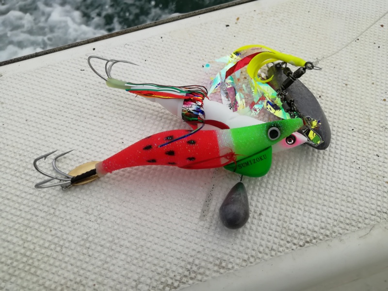 明石の夏満喫!2キロオーバーがでた!