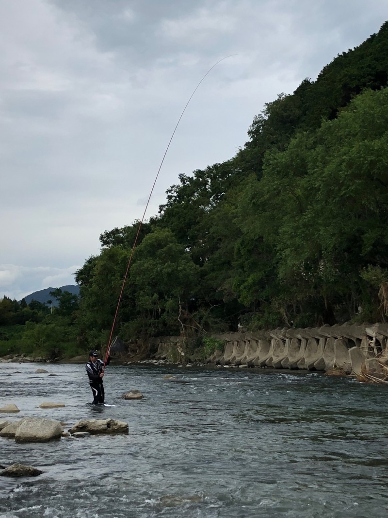 台風後の揖保川へ