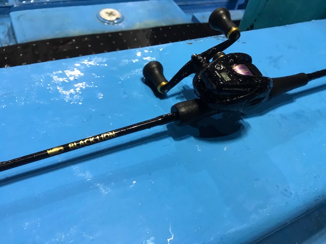 秋イカメタル爆釣!!