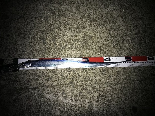 タチウオ ワインド(ショアテンヤ)釣行1