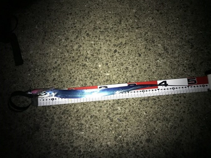 タチウオ ワインド(ショアテンヤ)釣行1