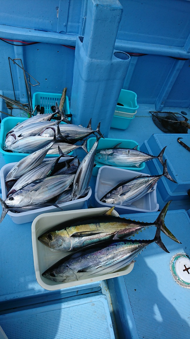 串本カツオフカセへ