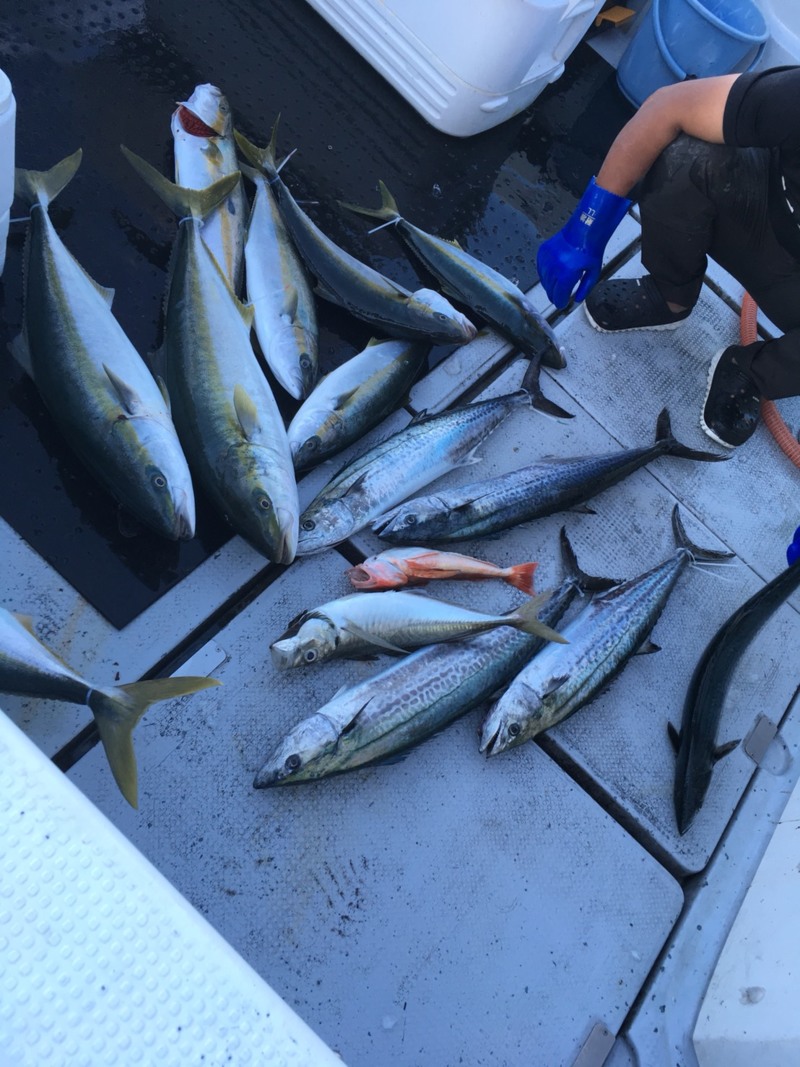 日本海 青物ジギング