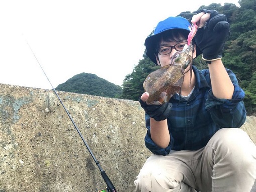 京都 エギング調査