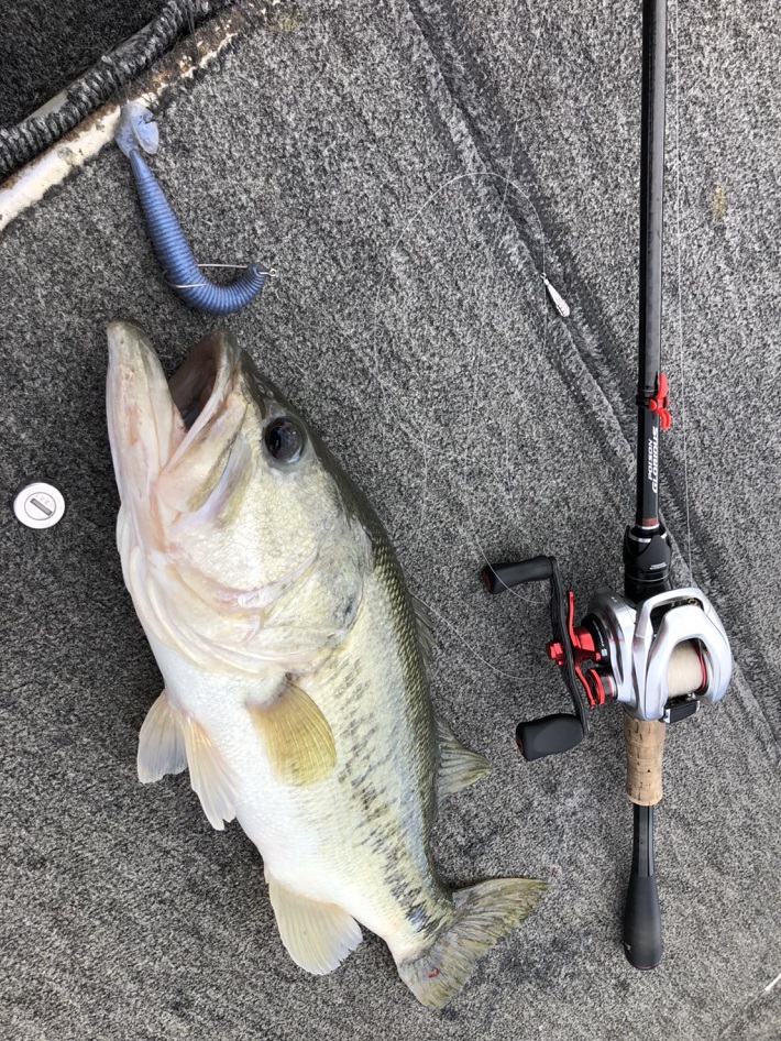 11/2琵琶湖バス釣り