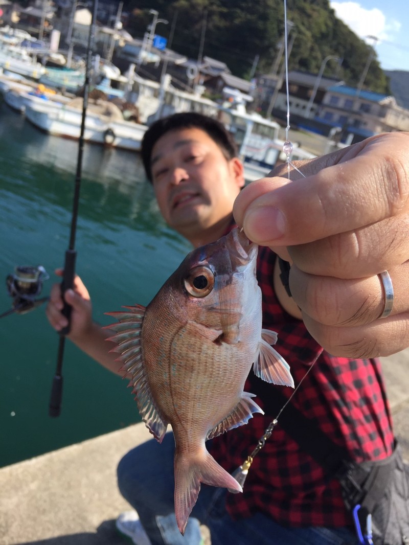 秋終盤アオリイカを求めて