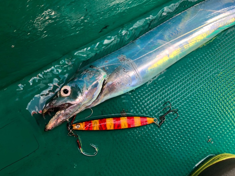 須磨沖タチウオテンヤ&ジギング