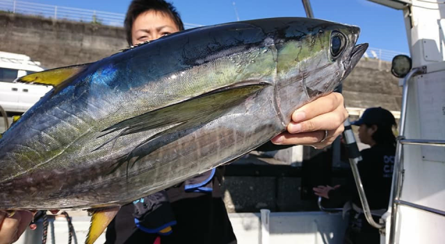 高知県 安芸漁港 神栄丸さんにてエビング