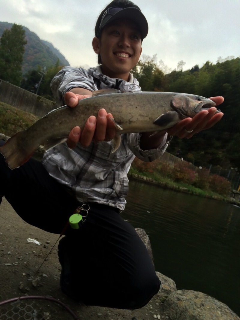 【千早川マス釣り場】ニジマス、イワナ、アマゴ、ブラウン釣果