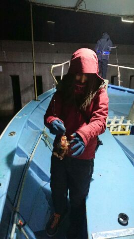 神戸沖でガシラを釣る!マナティ38で一人10以上の釣果!