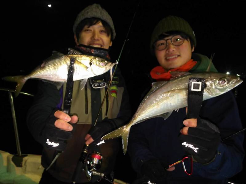 【和歌山】南海マリーナでアジング│MAX38cmのアジGET