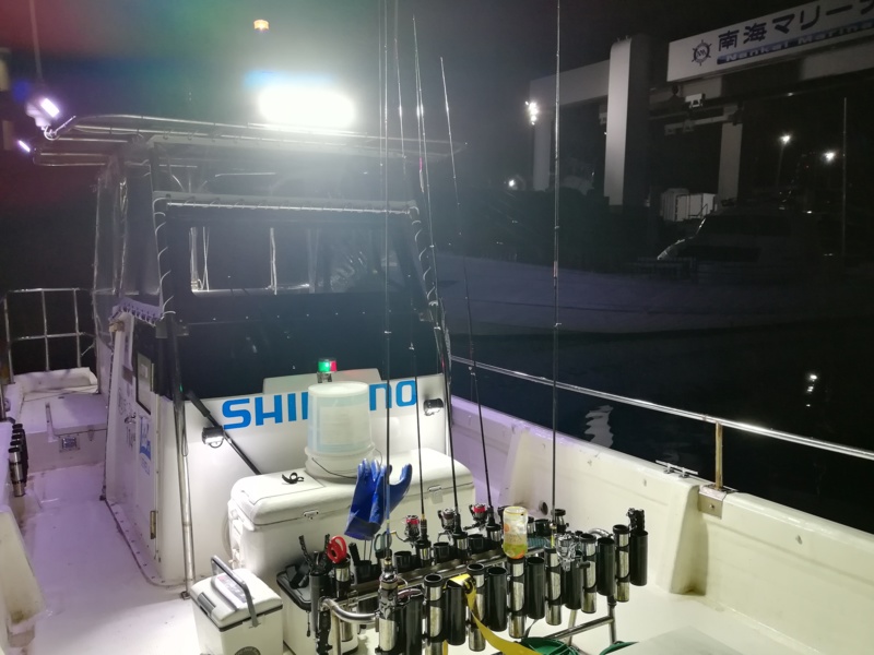 【和歌山】南海マリーナでアジング│MAX38cmのアジGET