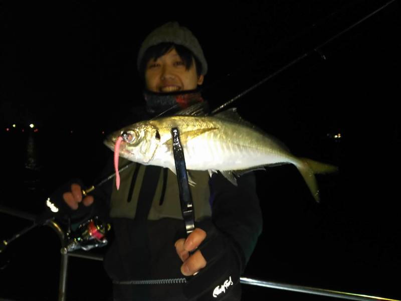 【和歌山】南海マリーナでアジング│MAX38cmのアジGET