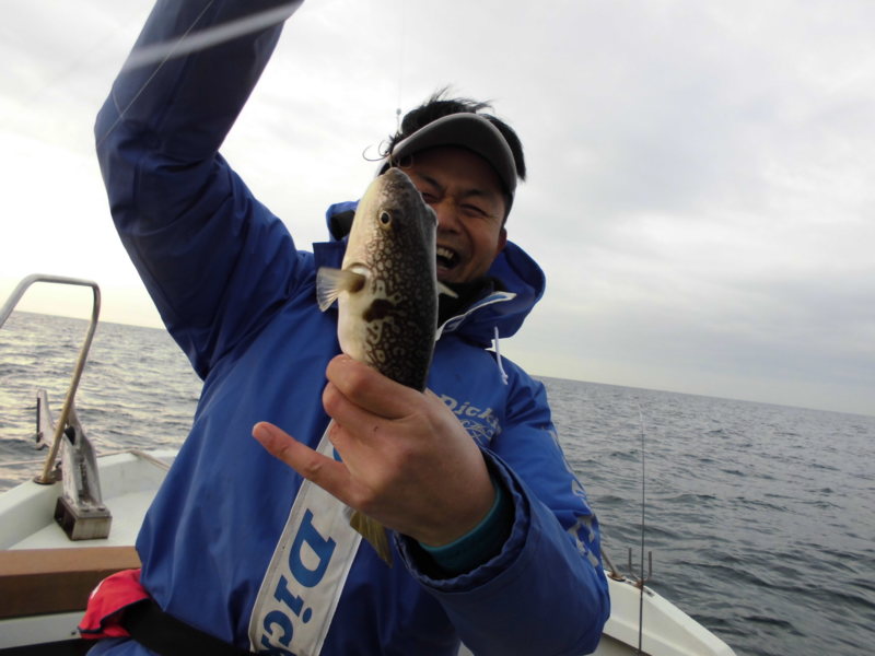 【姫路市】冬のショウサイフグ釣り│30オーバーGET