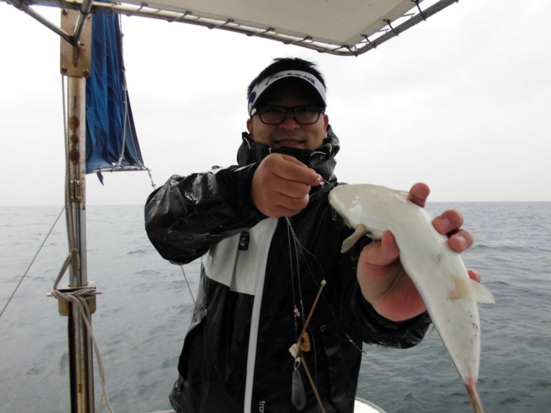 【姫路市】冬のショウサイフグ釣り│30オーバーGET