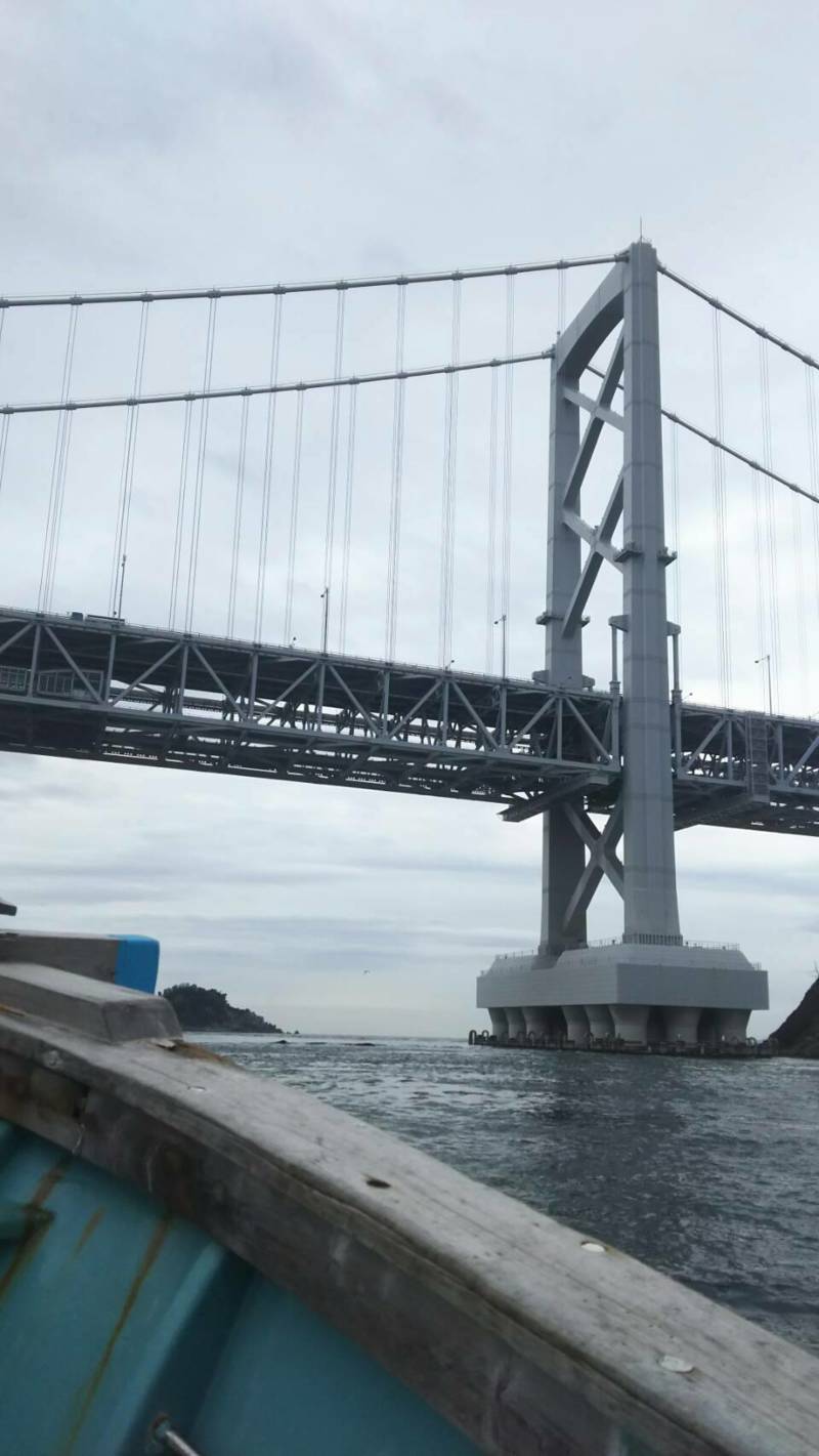 【鳴門市】鯛サビキ│仕掛けはアシスト工房の鯛サビキ仕掛け