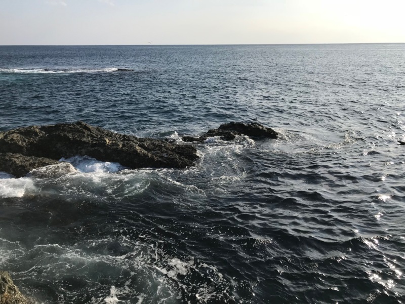 【串本】磯釣りチャレンジ!小川渡船さんがオススメ