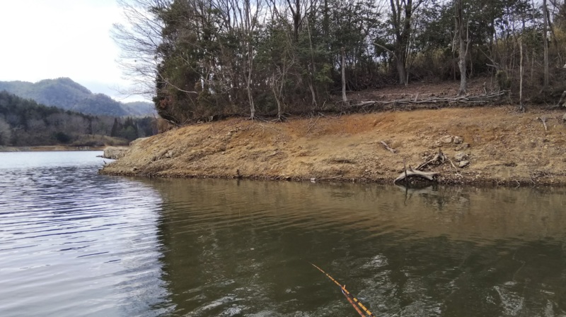 【兵庫県】青野ダムでヘラブナ釣行│40cmのマブナGET
