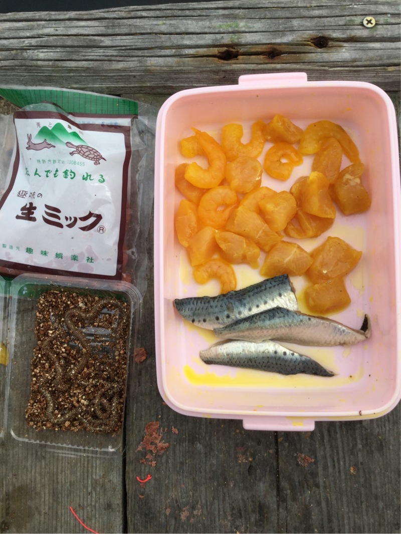 兵庫県家島の釣り掘【水宝】で鯛・サーモンを狙う