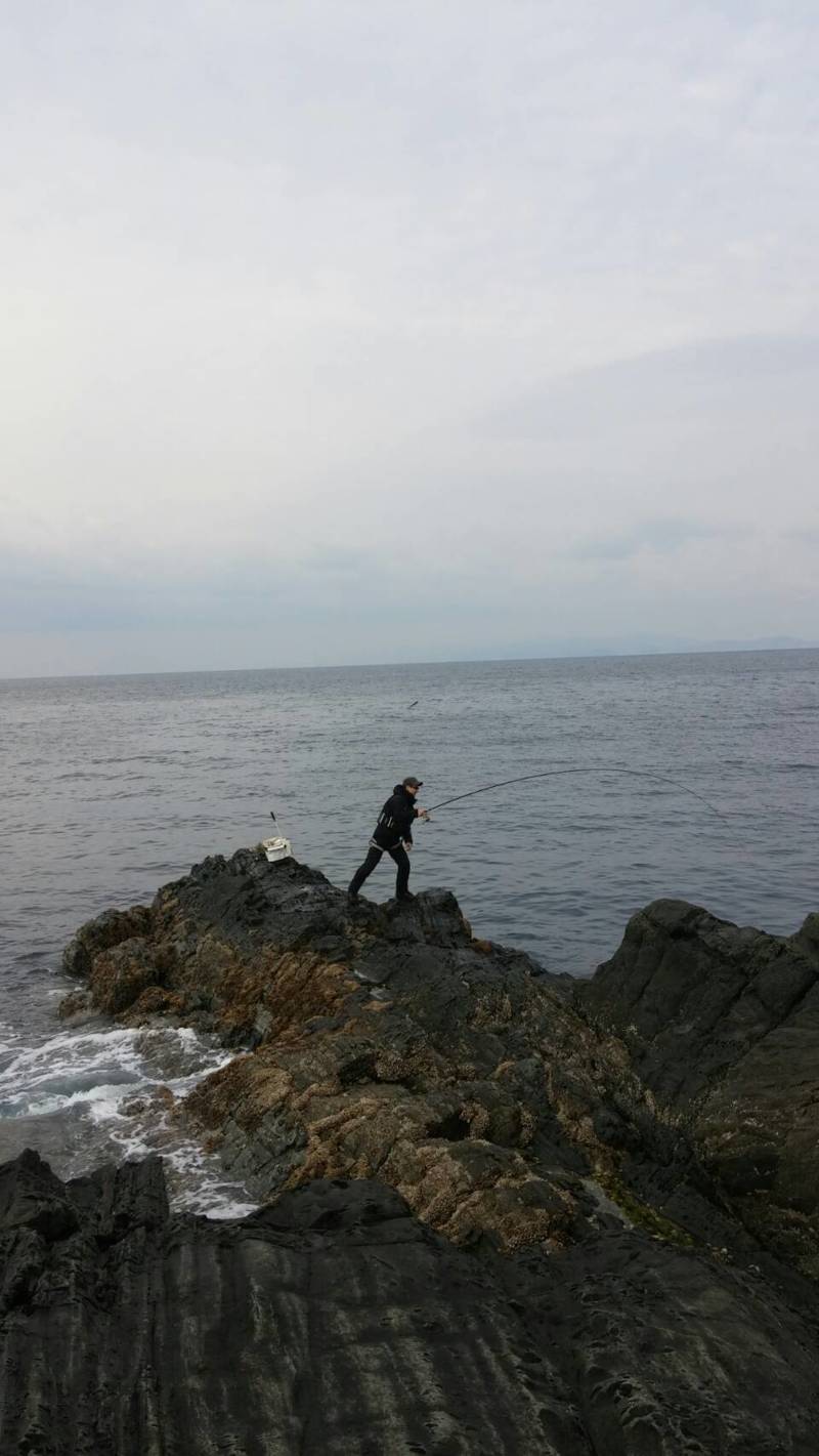 【兵庫県南あわじ市沼島】フカセ釣り・ショアジギング釣果