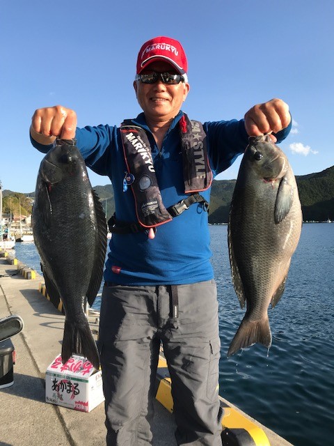 三重県三木浦でカセのグレ釣り│真鯛イエロー効果絶大
