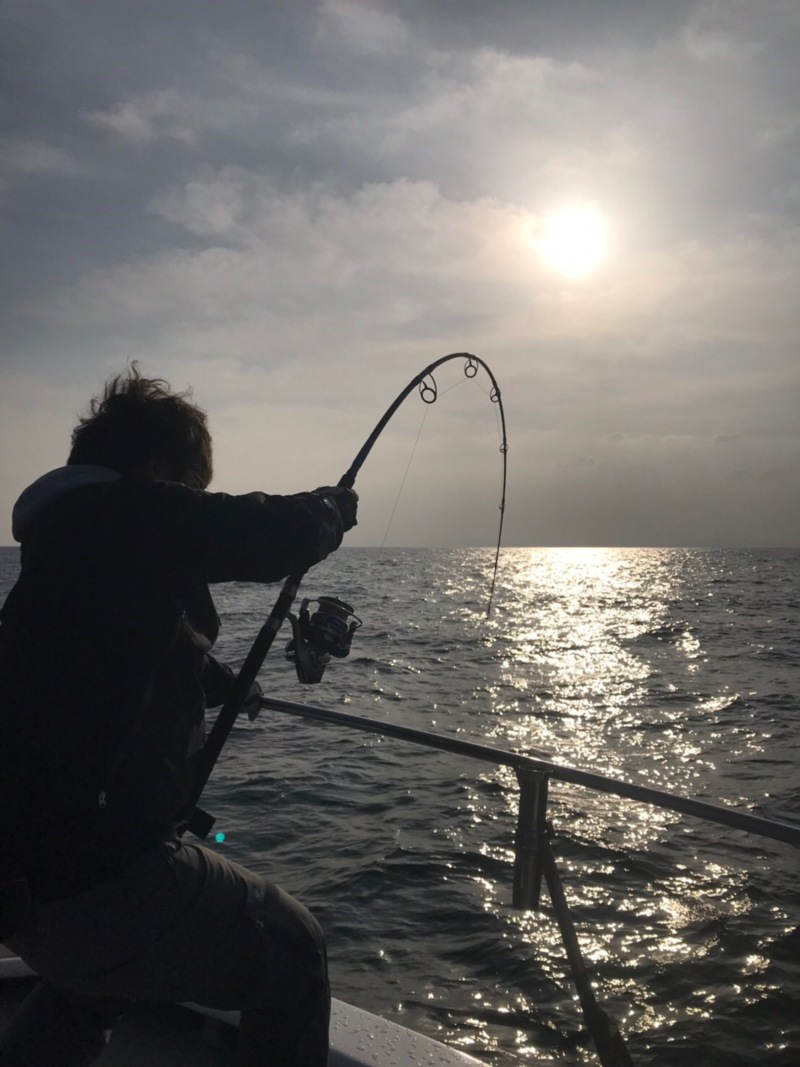 佐賀県呼子でキャステイング&ジギング│ヒラマサ&ブリ釣果