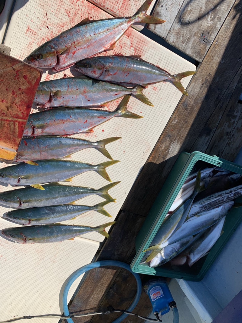 【長崎県対馬市】みち丸さんでヒラマサジギング!
