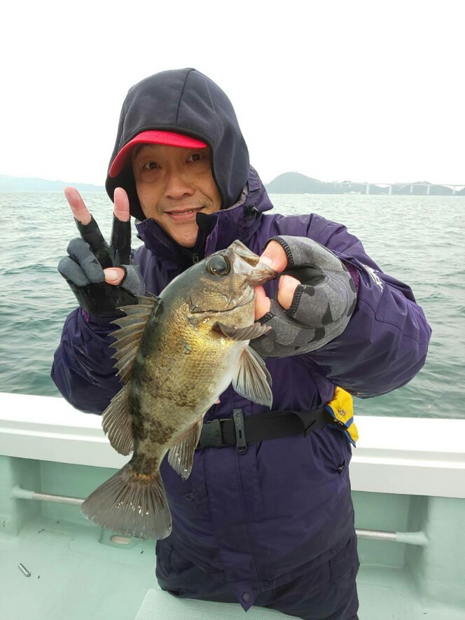 釣り船 Ryoさんで船サビキ釣り│メバル釣果