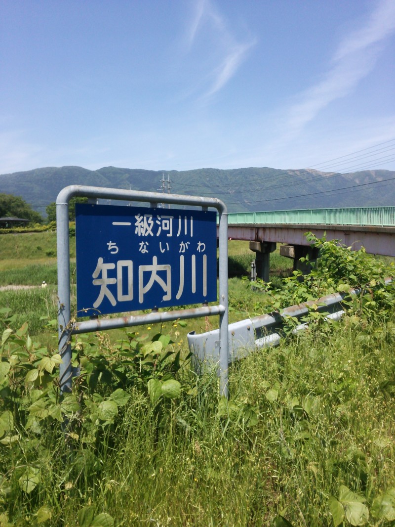 知内川で淡水ウキ釣り│小鮎爆釣!