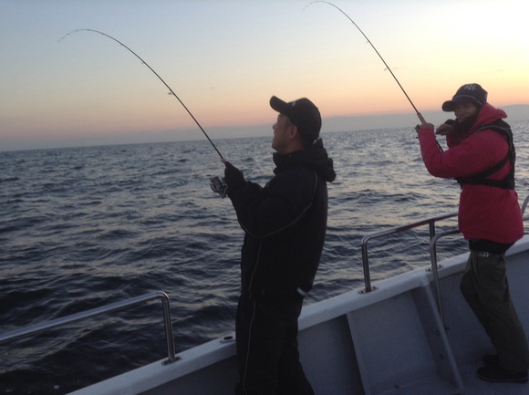 三重県 志摩沖|ティップラン|アオリイカ22杯釣果!