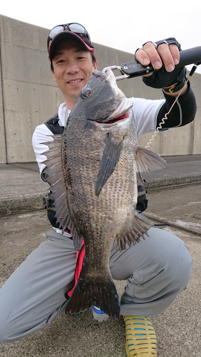 尼崎フェニックスでチヌ落し込み釣果│イガイでチャレンジ!