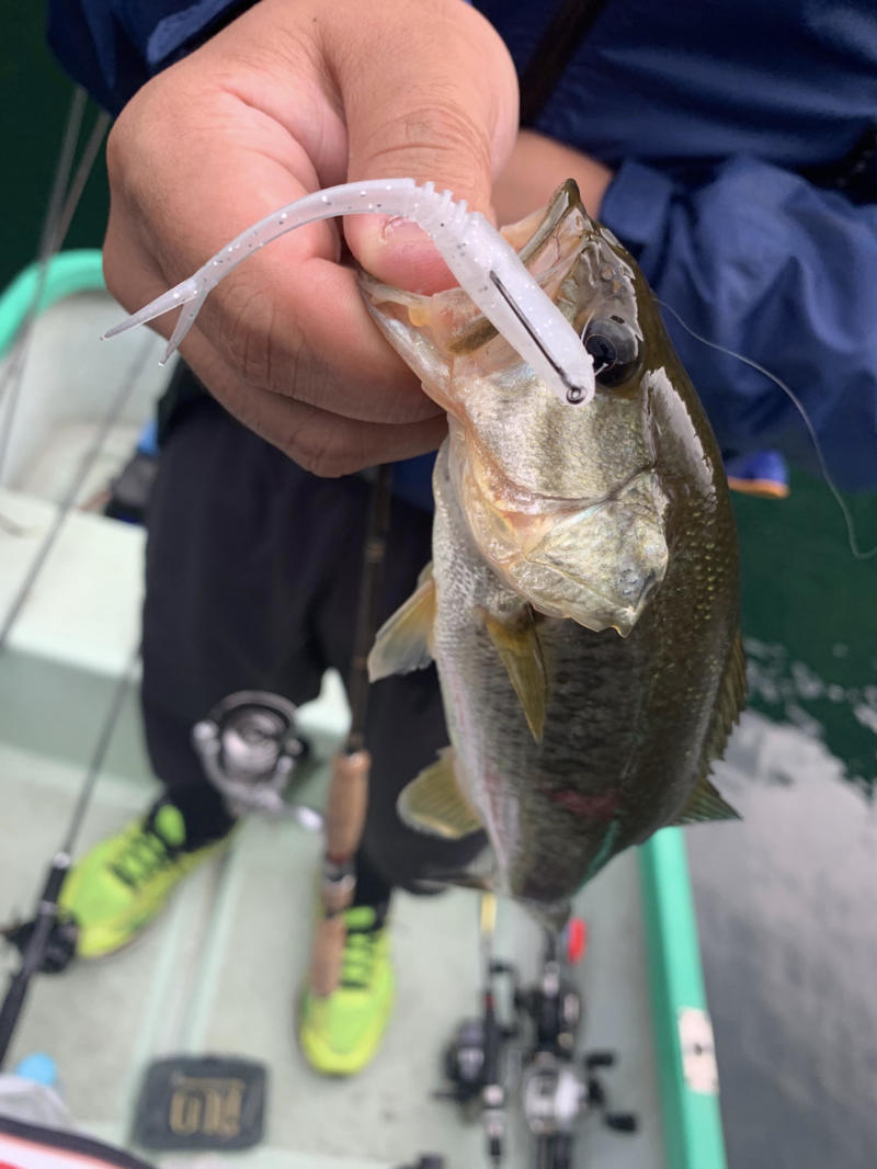 七色ダムサイト修行