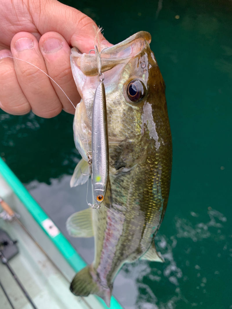 七色ダムサイト修行