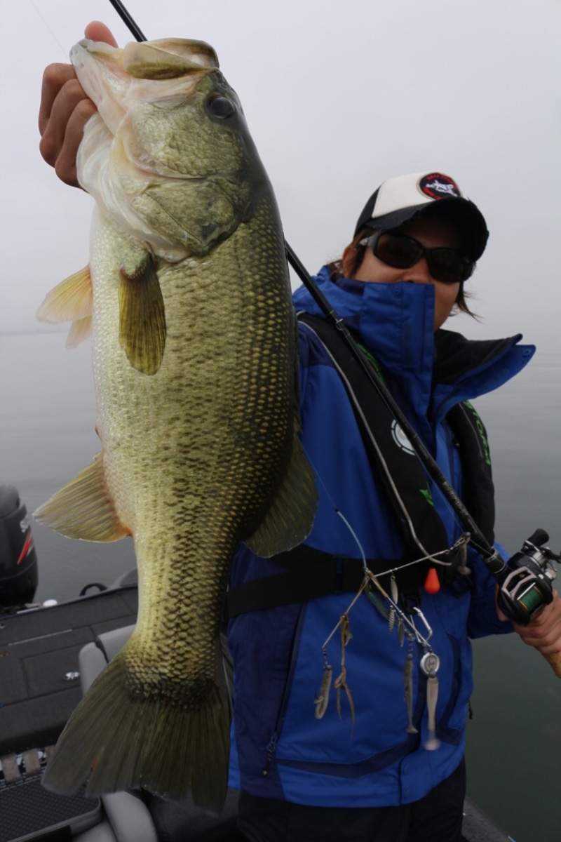 「滋賀県」琵琶湖|アラバマリグでブラックバス釣果