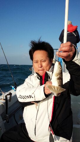 淡路島郡家港沖|這わせ・カットウ仕掛けショウサイフグ釣果