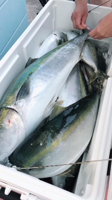 6/5 日本海ハピネス釣行