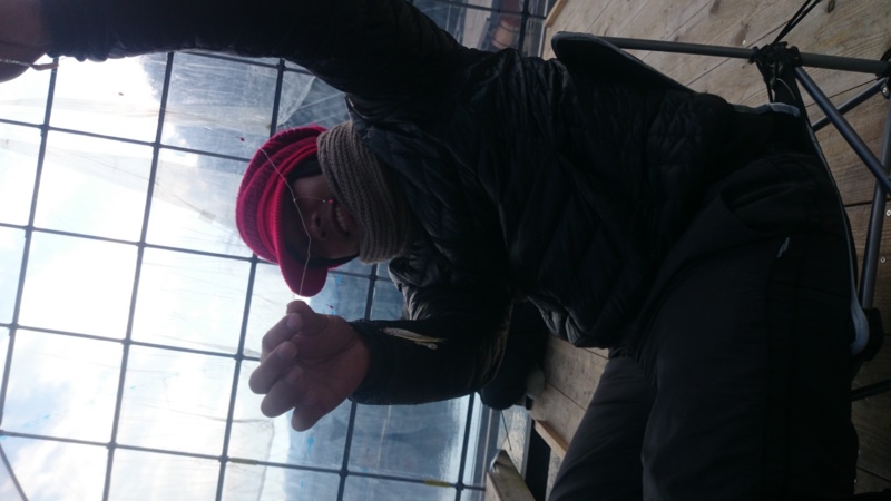 兵庫県佐中ダム|極寒の中でのわかさぎ釣果