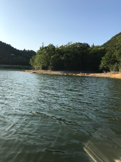 青野ダムの嬉しい一尾