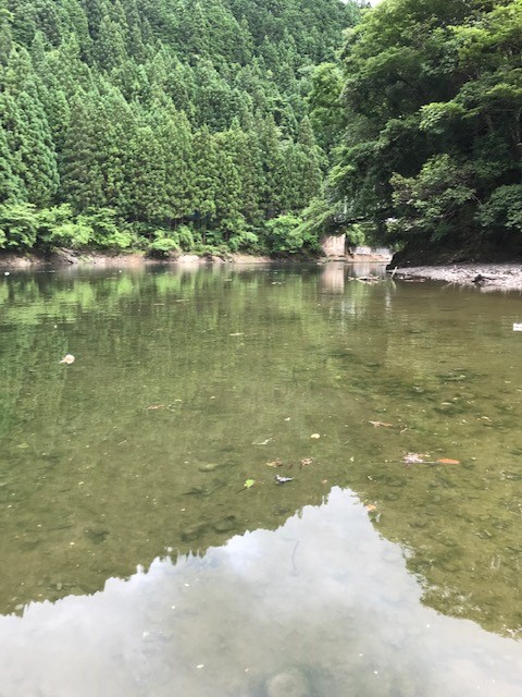 猿谷ダムのスローテーパーライフ