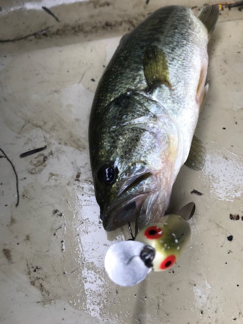 猿谷ダムのスローテーパーライフ