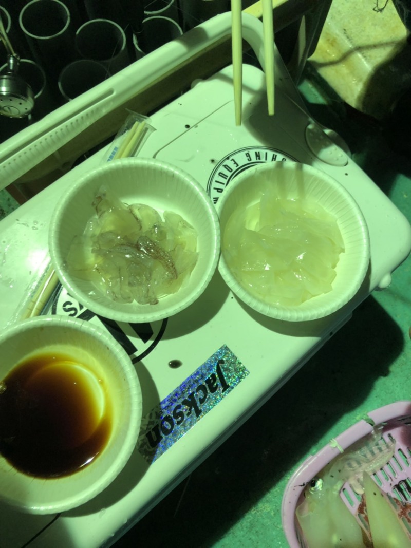 今年初イカメタル!