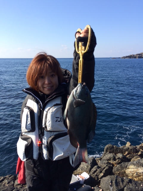 和歌山県|見老津で磯釣り!グレ8枚釣果!