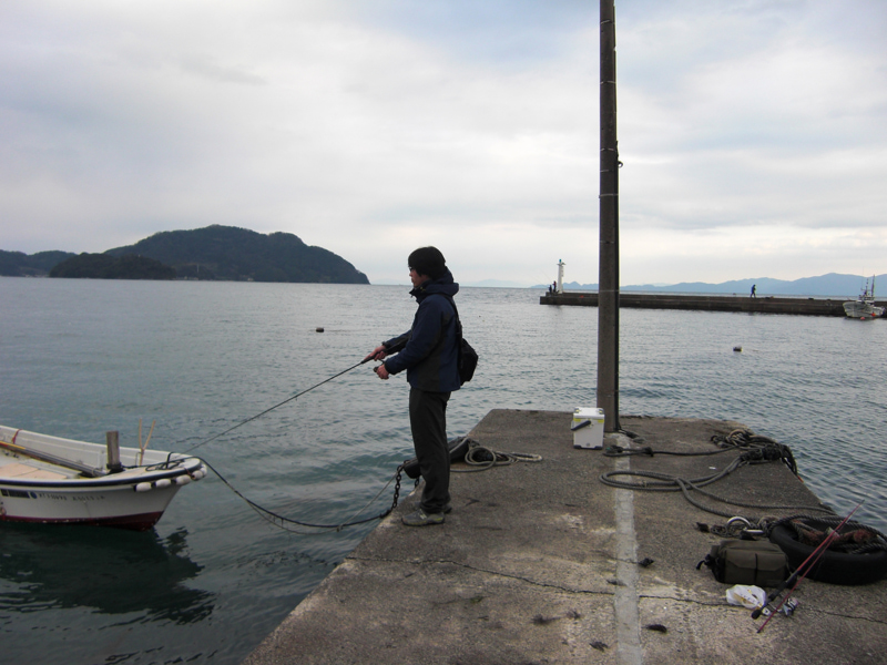 京都府伊根・養老港|日本海でエギ・エサ釣りヤリイカ釣果