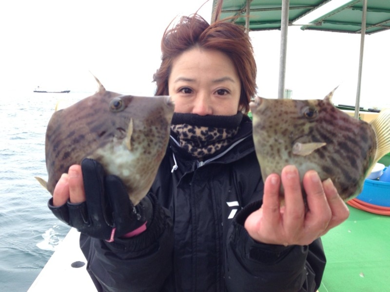 【和歌山県加太】船カワハギに初挑戦!!19匹釣果