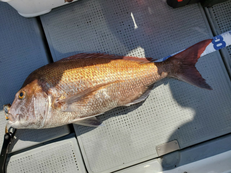 日本海ディープタイラバ