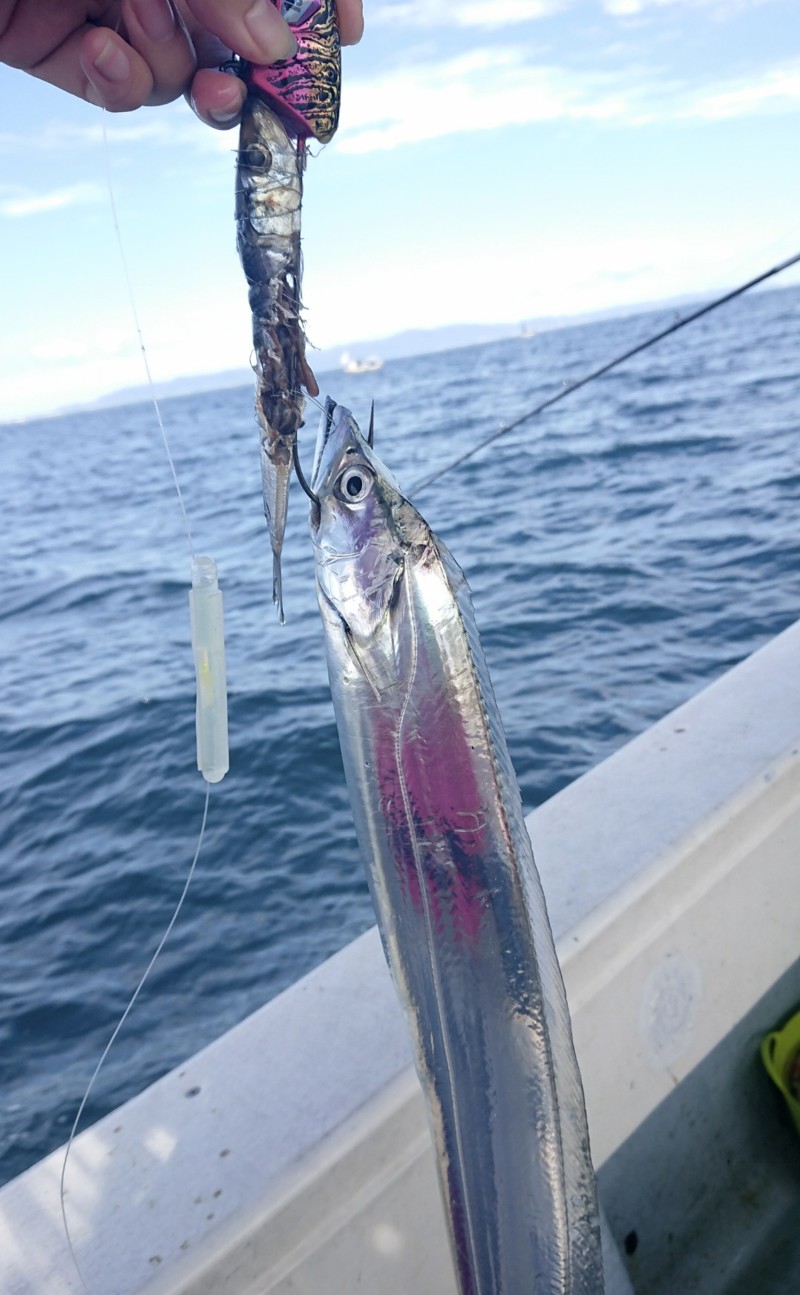 船タチウオテンヤ☆